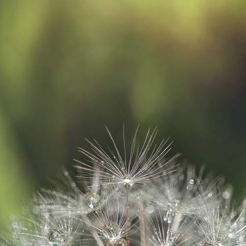 Photo #13620330
