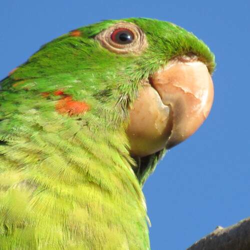 Photo #13620394