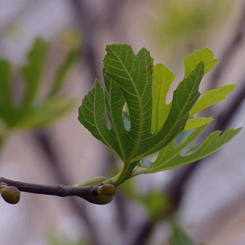 Photo #13620454