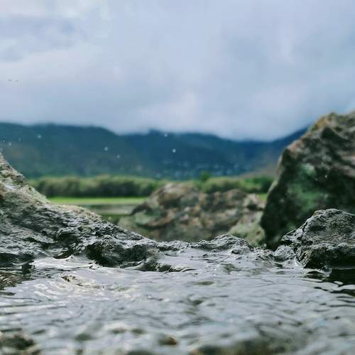 Photo #13620486