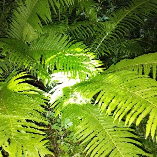 Photo #13620593