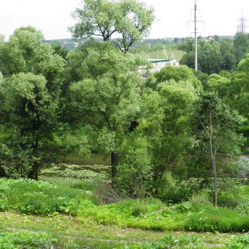 Photo #13620616