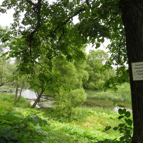 Photo #13620617