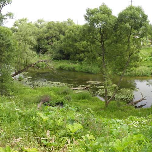 Photo #13620618
