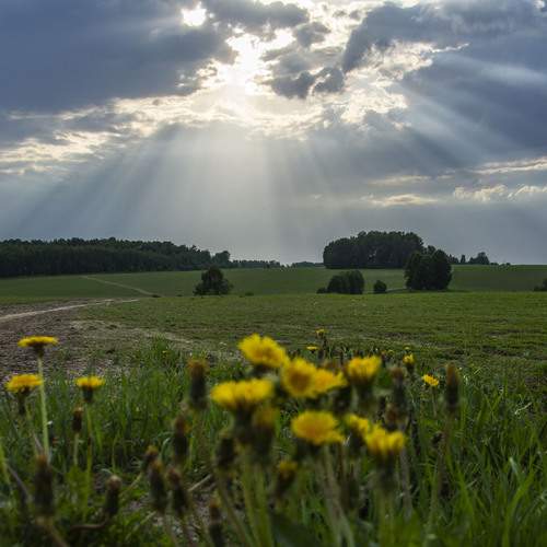 Photo #13620648
