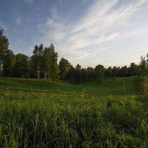 Photo #13620651