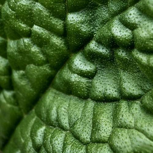 Photo #13620664