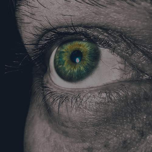 Photo #13620710