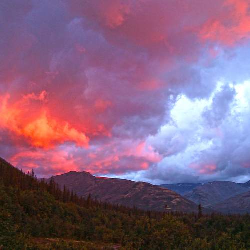 Photo #13620802