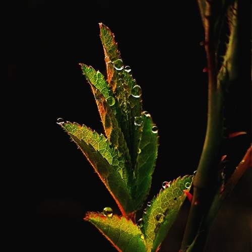 Photo #13620949