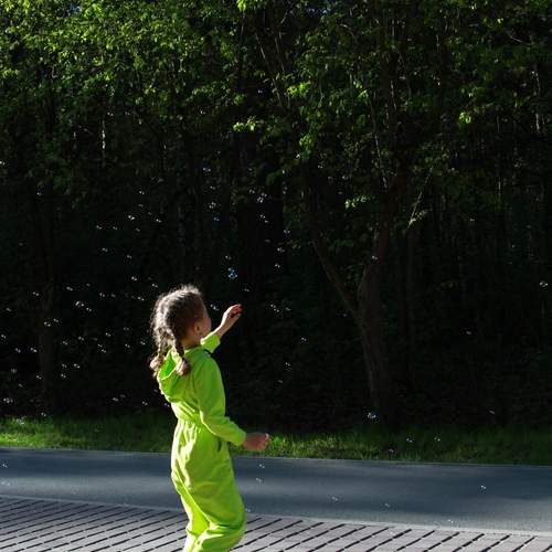 Photo #13621024