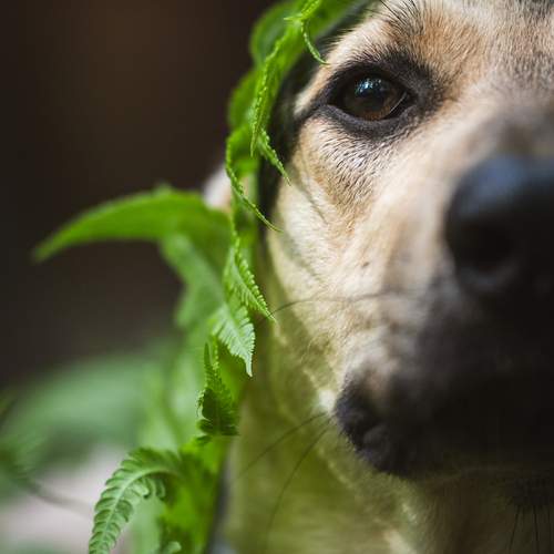 Photo #13621042
