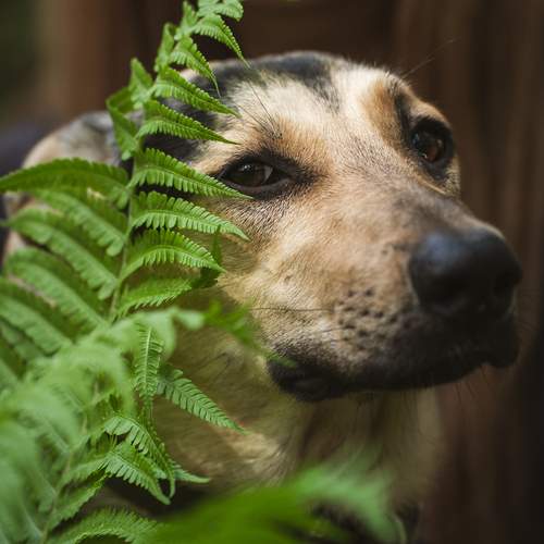 Photo #13621043