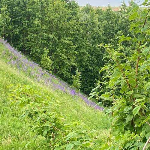Photo #13621395