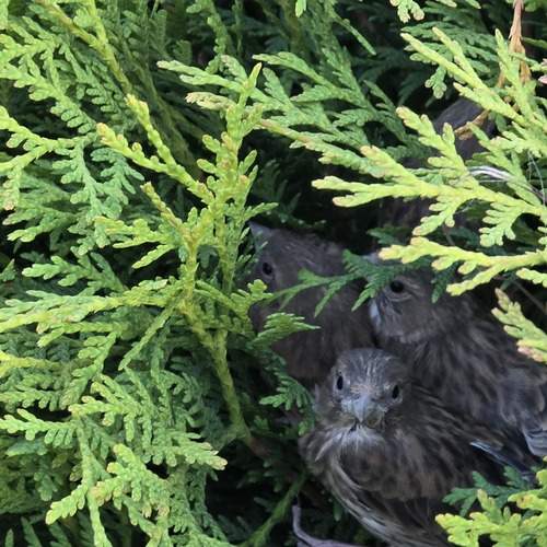 Photo #13621436