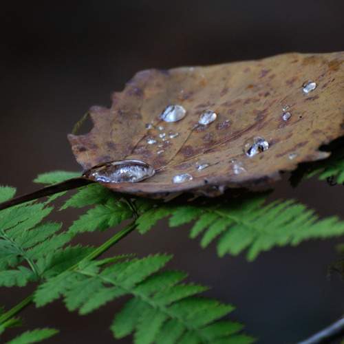 Photo #13621474