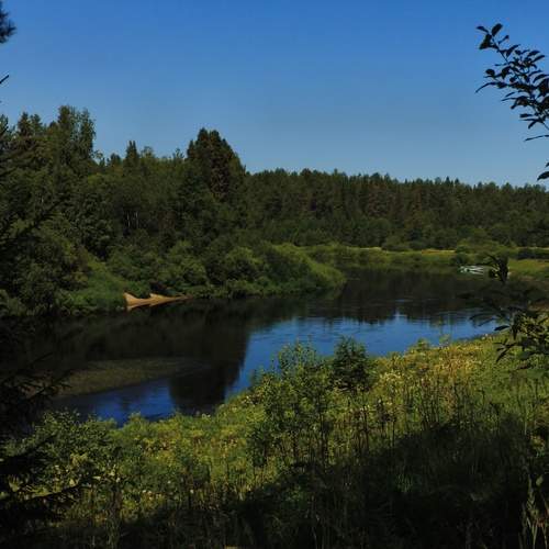 Photo #13621615