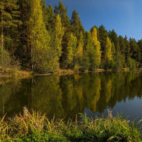 Photo #13621752