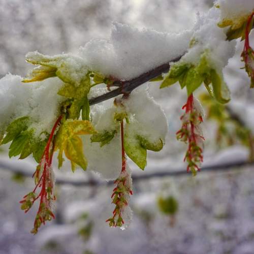 Photo #13621803