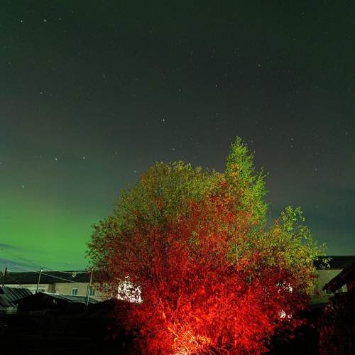 Photo #13621835