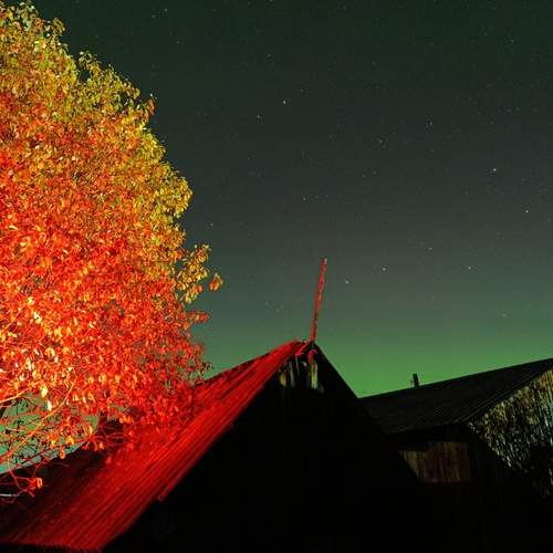 Photo #13621836