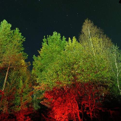 Photo #13621837