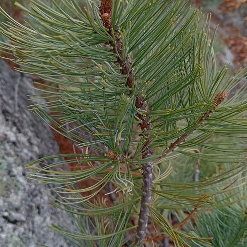 Photo #13621880