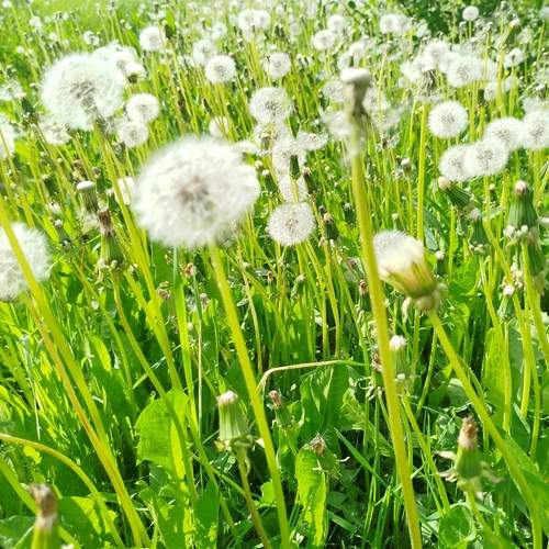 Photo #13621976