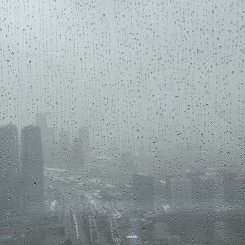 Photo #13621995