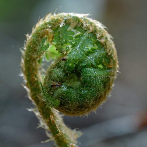 Photo #13622153