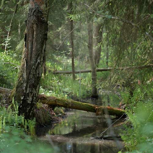 Photo #13622155