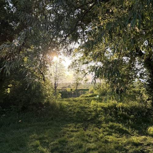 Photo #13622178