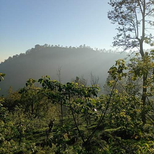 Photo #13622352