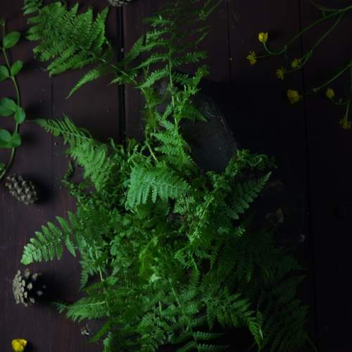Photo #13622374