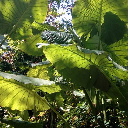 Photo #13622645