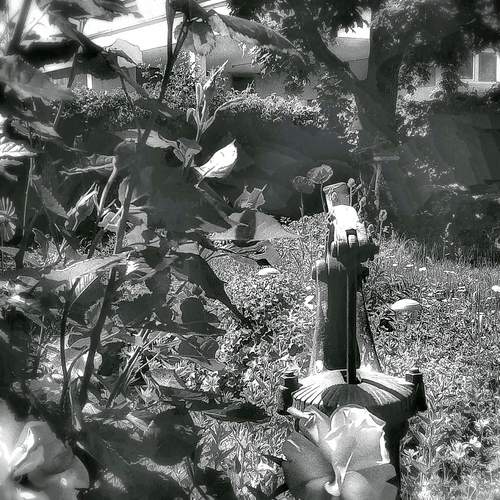 Photo #13622795