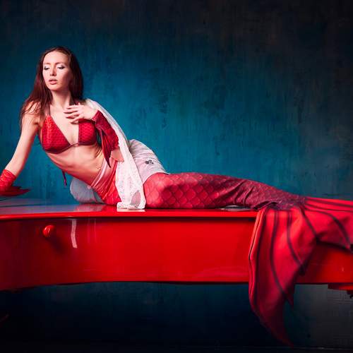Photo #13622839