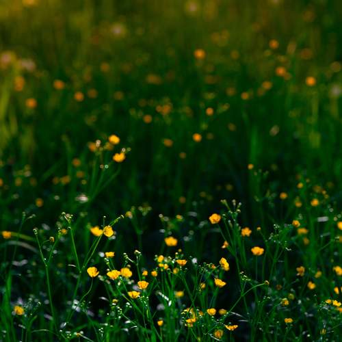 Photo #13622960