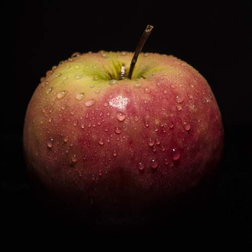 Photo #13623028