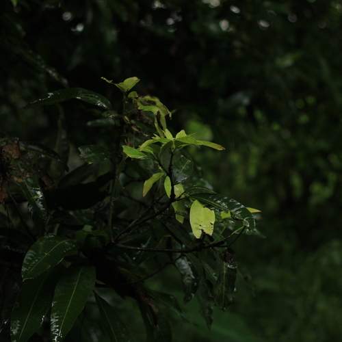 Photo #13623033