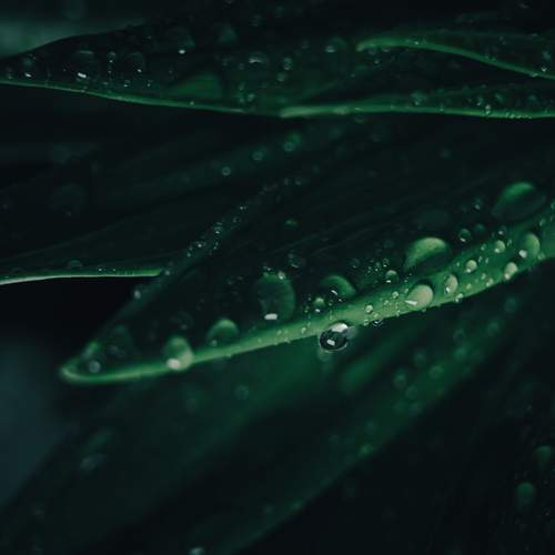 Photo #13623079
