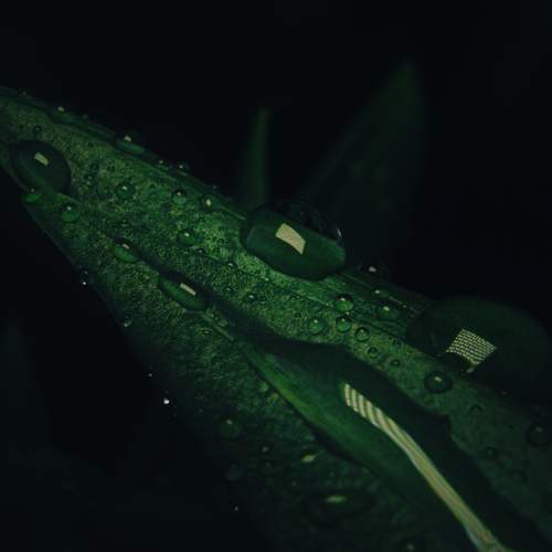 Photo #13623080