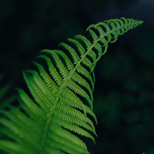 Photo #13623088