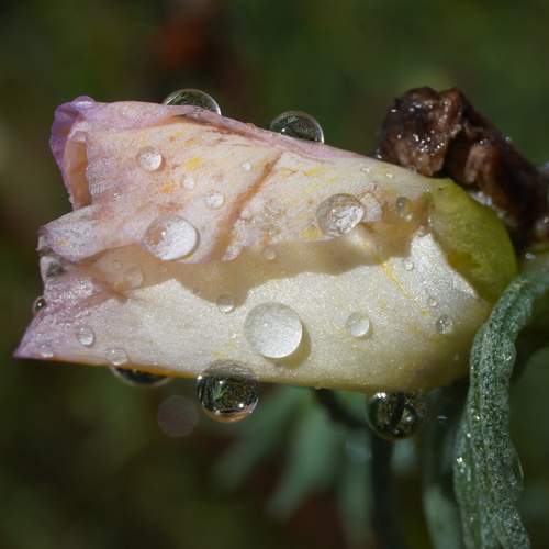 Photo #13623107