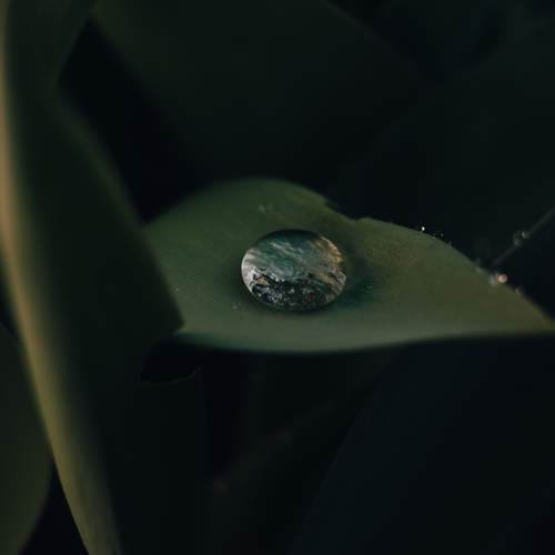 Photo #13623134