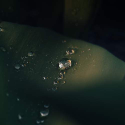Photo #13623136