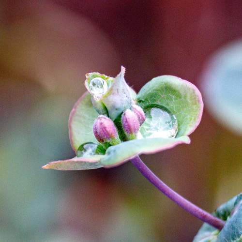 Photo #13623275