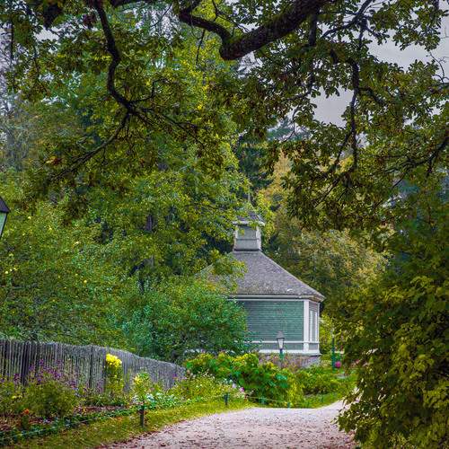 Photo #13623305