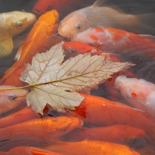 Photo #13623408