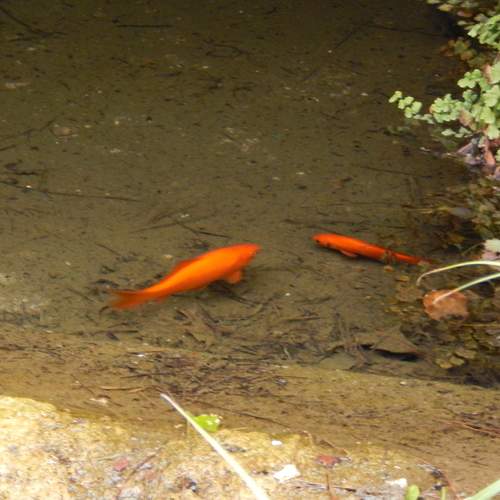 Photo #13623409